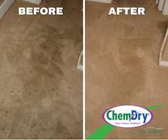 Chem-Dry carpet cleaning before and after results