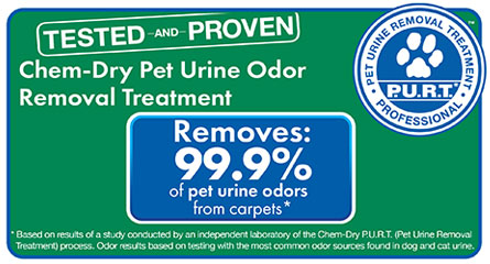 Chem-Dry of Stromsburg removes 99.9% of pet urine odors from carpets in Stromsburg NE